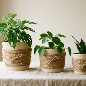 Cesto Decorativo Natural